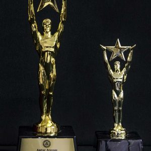 Solid metal star male victory trophy