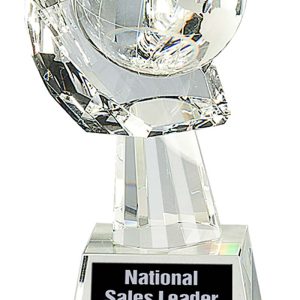 Crystal globe in hand award