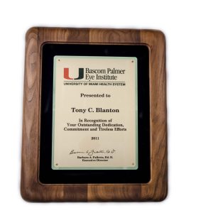 13.5'' x 17'' walnut frame with black velour background