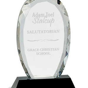 Faceted crystal oval award on black base