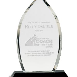 9.5 inch crystal with colored base