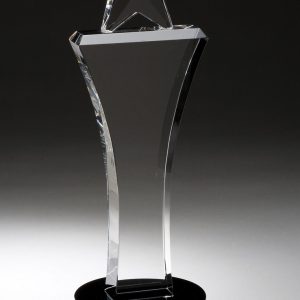 11.25 inch crystal rising star award