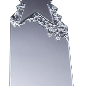 Crystal star award