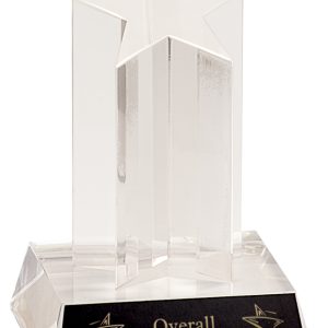 Single star column acrylic award