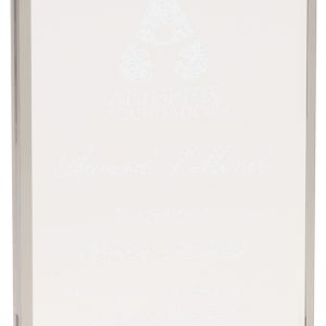 Clear acrylic rectangle award