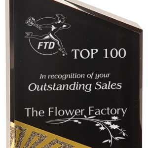 Black diamonds acrylic peak award