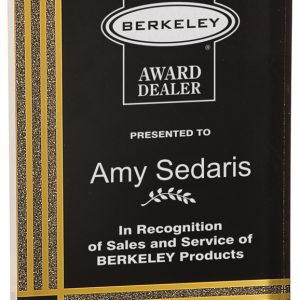 Black diamonds acrylic rectangle award