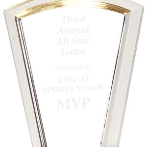 Gold acrylic fan award