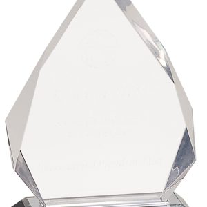 Silver diamond impress acrylic award