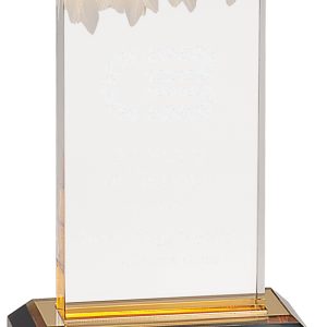 Gold frosted impress acrylic award