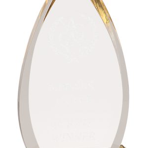 Gold oval impress acrylic award