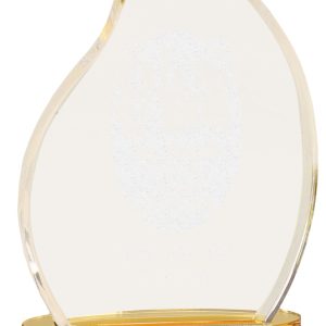Gold flame impress acrylic award