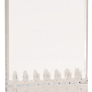 Blue mirage acrylic award