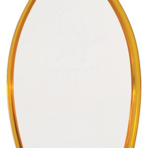 Clear and gold acrylic spire award