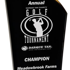 Gold and black deco acrylic award