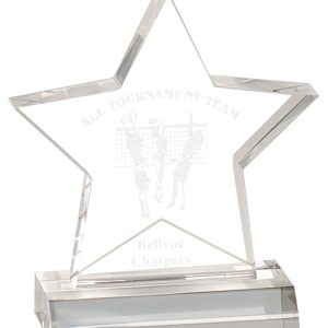 5.75 inch acrylic star award